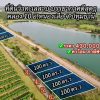 ที่สวยชิวล์วิวบึงน้ำ-100.วา-Sาคาเบาๆที่ดินคลอง 10 หนองเสือ ปทุมธานี. T.062-1574449